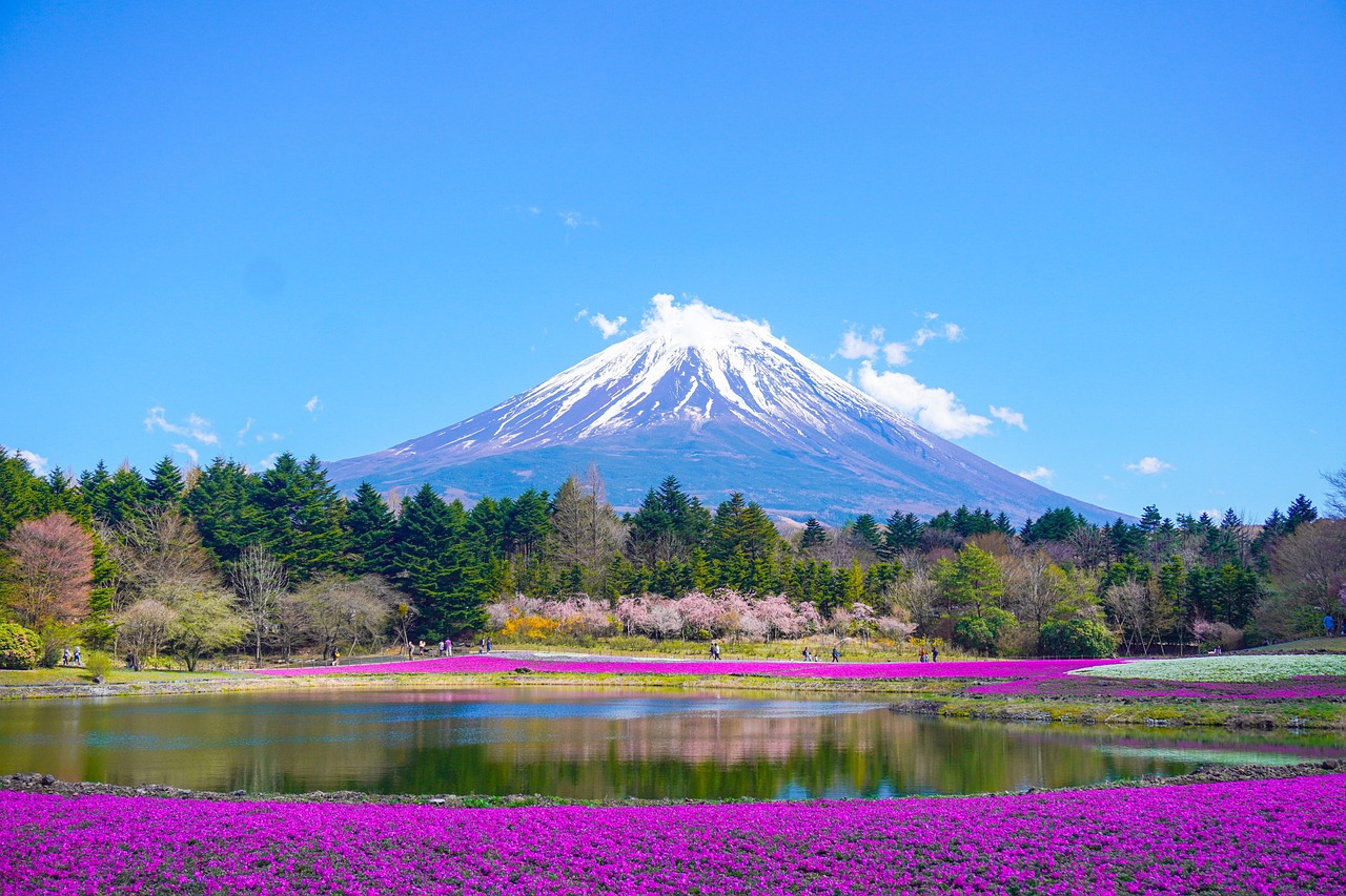 Japan Landmark